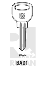      BAD1___