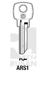      ARS1_ARK1_ARS1D_ARN1D